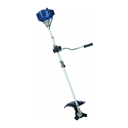 EINHELL BG-BC 43 AS Manuel utilisateur | Fixfr