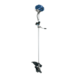 EINHELL BG-BC 41 Manuel utilisateur | Fixfr