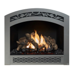 Manuel utilisateur FireplaceXtrordinair 864 TRV 31K