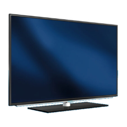 Grundig FINE ARTS 55 FLX 9490 SL : Assistance IA et PDF | Fixfr