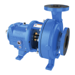 Goulds Pumps 3196 i-FRAME Manuel utilisateur