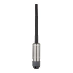 JUMO 404393 Level Probe out of Titanium Guide d'installation | Fixfr