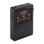 iRiver Astell &amp; Kern AK100 Manuel utilisateur