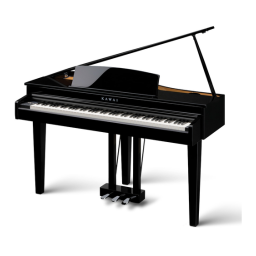 Préparation. Kawai DG30 | Fixfr