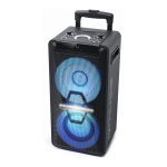 Muse M-1920 DJ Enceinte sono Product fiche