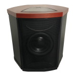 MartinLogan Depth i Manuel utilisateur