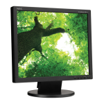 NEC AccuSync AS172/AS193i: Assistance IA et PDF