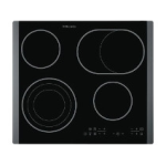 Electrolux EHS60200P Manuel utilisateur