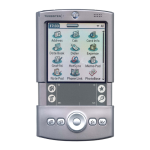 Palm Tungsten T Ordinateur de poche : AI Chat &amp; PDF Access