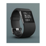 Fitbit Surge Manuel utilisateur