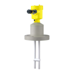 Vega VEGACAL 69 Capacitive double rod electrode for level measurement Operating instrustions