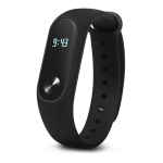 Xiaomi Mi Band 2 Mode d'emploi