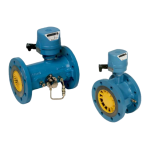 RMG TRZ 03 Manuel du propri&eacute;taire