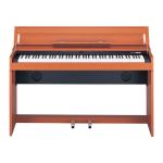 Roland DP-900 Mode d'emploi: AI Chat &amp; PDF Access