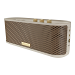 Roland BTM-1 Bluetooth Speaker with Instrument Input Manuel du propri&eacute;taire