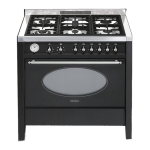 Manuel d'utilisation cuisini&egrave;re Smeg : AI Chat &amp; PDF