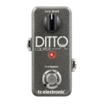 TC Electronic Ditto Looper : Mode d'emploi + IA Chat