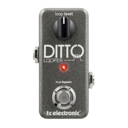 TC Electronic Ditto Looper : Mode d'emploi + IA Chat | Fixfr