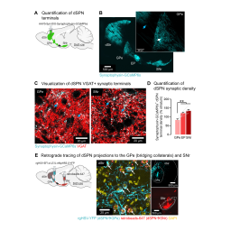 B 80-3R BP-S3 RSA JUMO