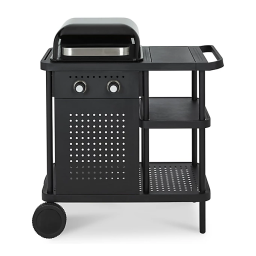 GoodHome Rockwell 210 Mode d'emploi | Fixfr