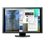 Eizo FLEXSCAN SX3031W Manuel utilisateur