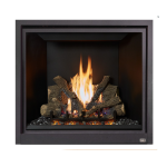 Fireplace Xtrordinair ProBuilder 42 CleanFace GSB2 Fireplace 2019 Guide d'installation