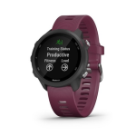 Garmin FORERUNNER 245 BK/SLATE Montre connect&eacute;e, activity tracker ou montre de sport Manuel du propri&eacute;taire