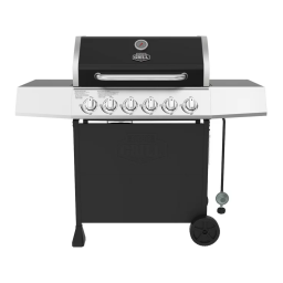 EXPERT GRILL 720-0969 grill Manuel utilisateur | Fixfr