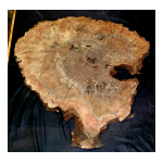 FORS WA 1241 Guide d'utilisation | AI Chat