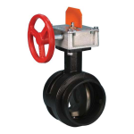 Victaulic FireLock&trade; Butterfly Valve Series 765 and 705 Installation manuel