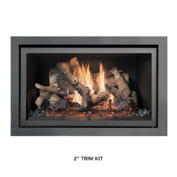 564 TRV 25K Deluxe Gas Fireplace (FPX) 2018