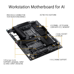 Asus Pro WS X570-ACE Motherboard Manuel utilisateur