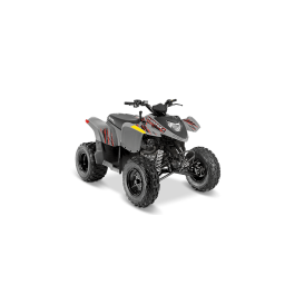 ATV or Youth Youth Phoenix 200 Quadricycle 2005 Manuel du propriétaire | Fixfr