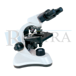 Gima 31002 LED BIOLOGICAL MICROSCOPE - 40 - 1600X Manuel du propri&eacute;taire