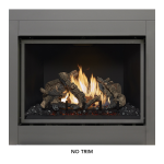 Fireplace Xtrordinair 864 CleanFace TRV GSR2 31K Fireplace 2018 Guide d'installation