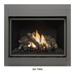 864 CleanFace TRV GSR2 31K Fireplace 2018