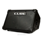 Roland CUBE Street EX PA Pack Battery-Powered Stereo Amplifier Manuel du propri&eacute;taire
