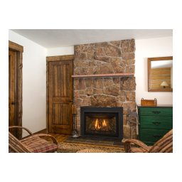 Kozyheat Chaska 25 Gas Insert Manuel du propriétaire | Fixfr