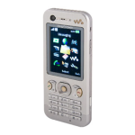 Sony Ericsson W890i Manuel utilisateur