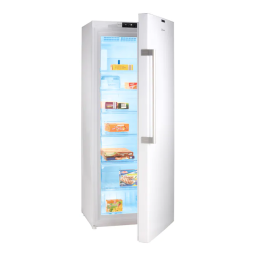 Whirlpool GKN ECO 18 A+++ XL Manuel utilisateur | Fixfr