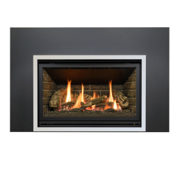 Kozyheat Chaska 335S Gas Insert Manuel du propriétaire | Fixfr