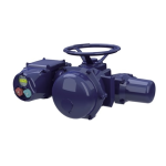 Bernard Controls ASM Range Manuel utilisateur