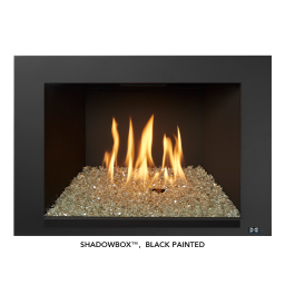 Fireplace Xtrordinair 430 Mod-Fyre (FPX) 2023 Manuel du propriétaire | Fixfr