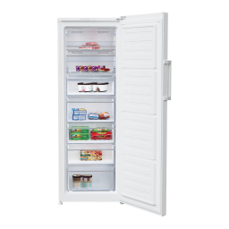 Beko RFNE290L31WN: IA Chat & Accès PDF | Fixfr