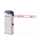 Kit d'articulation: Instructions + Chat IA