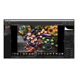 Nikon Capture NX2 Manuel du propriétaire | Fixfr