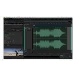 Adobe Audition CC 2015 Manuel utilisateur