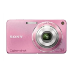 Sony Cyber-Shot DSC W390 Manuel utilisateur