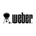 Weber d'allumage Rapidfire pour BBQ charbon Chemin&eacute;e d'allumage Product fiche