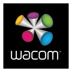 Wacom Bamboo Pen &amp; Touch Manuel utilisateur